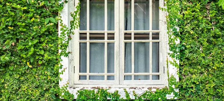 Garden Window Repair Near Me in Millbrae, CA