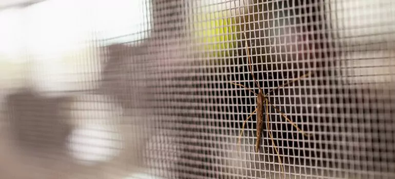 Repair Mosquito Mesh For Windows in Millbrae, CA