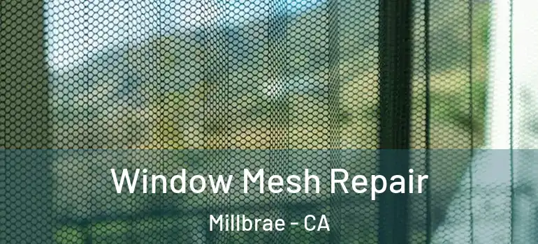  Window Mesh Repair Millbrae - CA