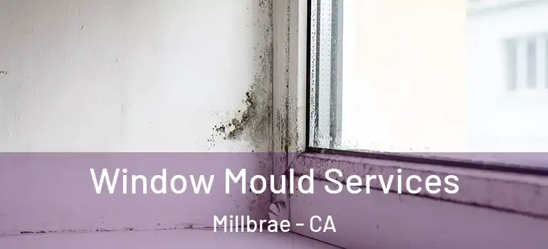  Window Mould Services Millbrae - CA
